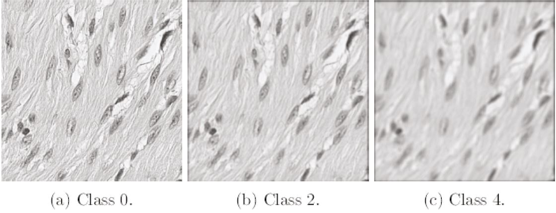Improving autofocus on scanned tiles 